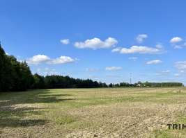 Pozemek 129.007  m², Polanka nad Odrou
